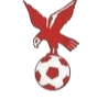 https://img.changtougaoke.com/img/football/team/4802d26df935b78bb2fcdbbff36e8864.png